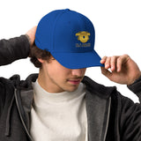 DJ ARCE Adidas performance cap