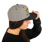 DJ ARCE Snapback Hat