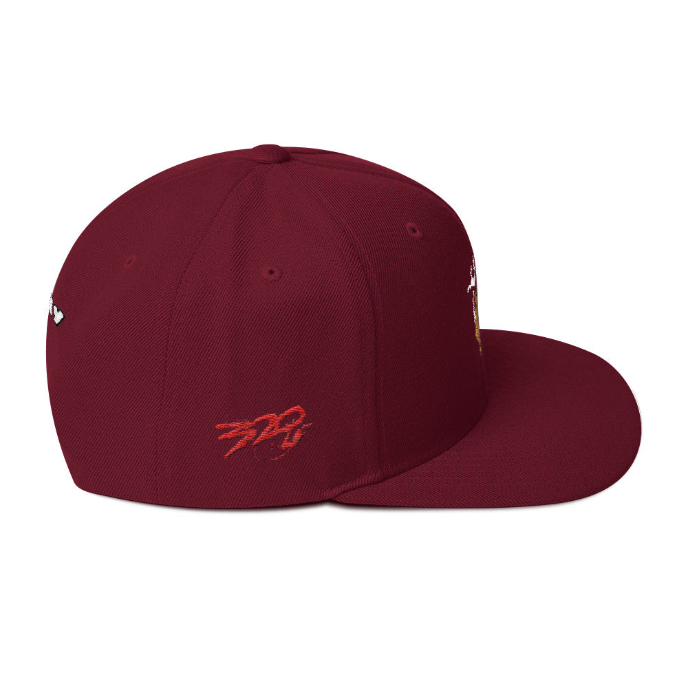 BIG RAY 320 Snapback