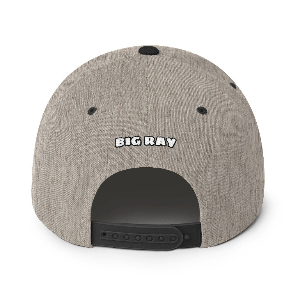 BIG RAY 320 Snapback