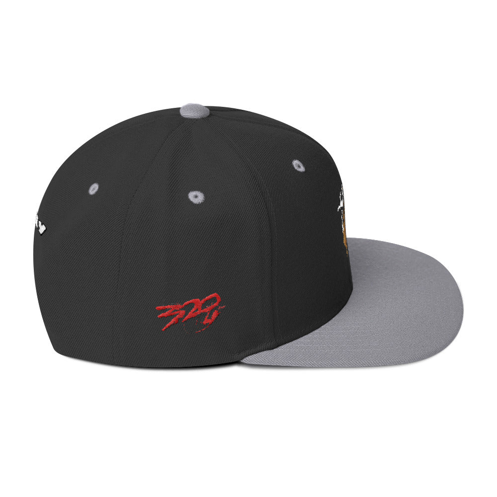 BIG RAY 320 Snapback