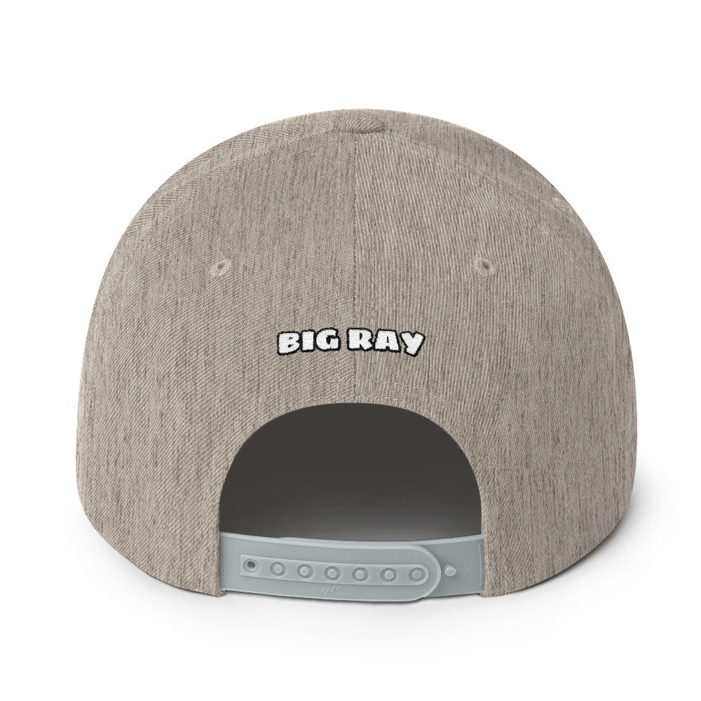BIG RAY 320 Snapback