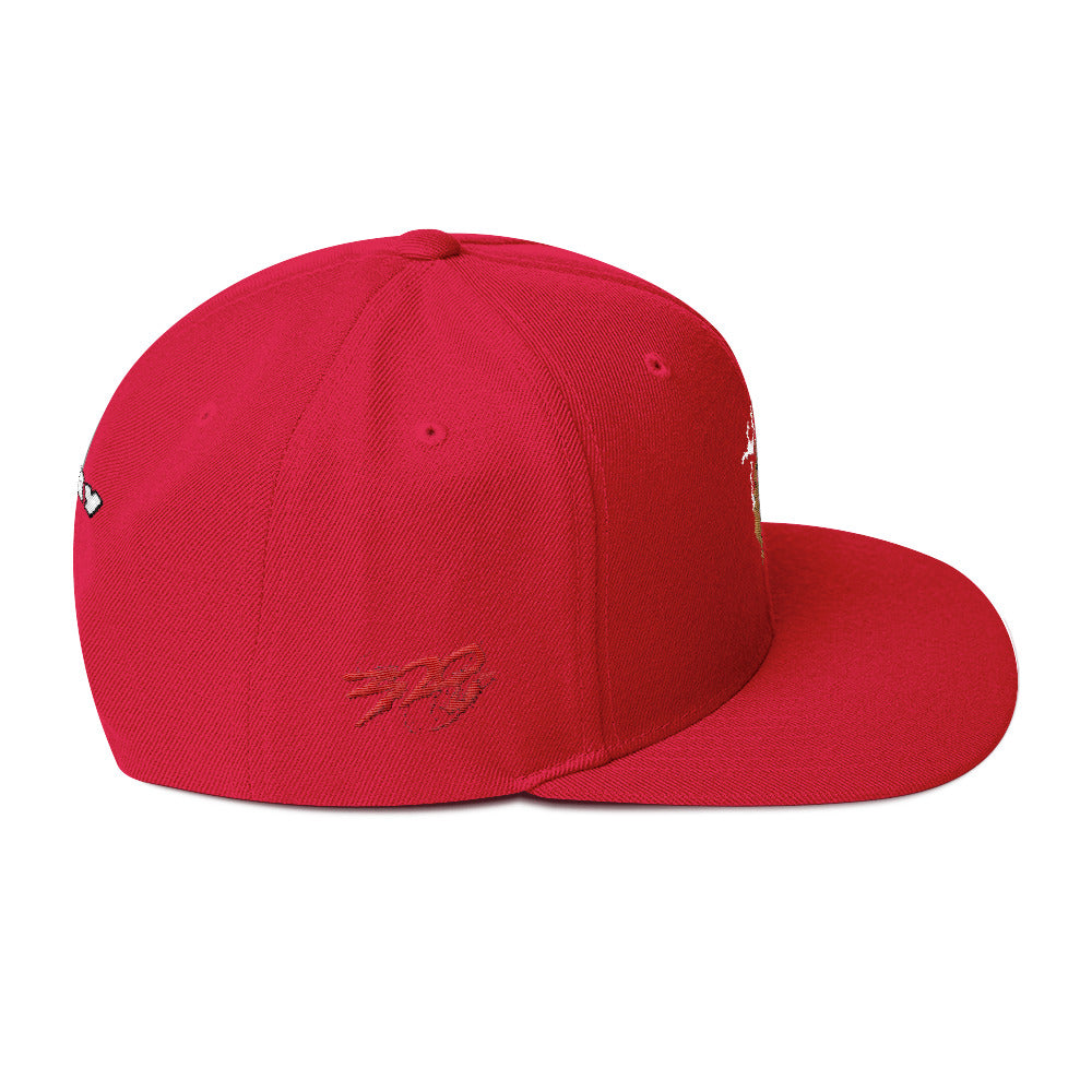 BIG RAY 320 Snapback