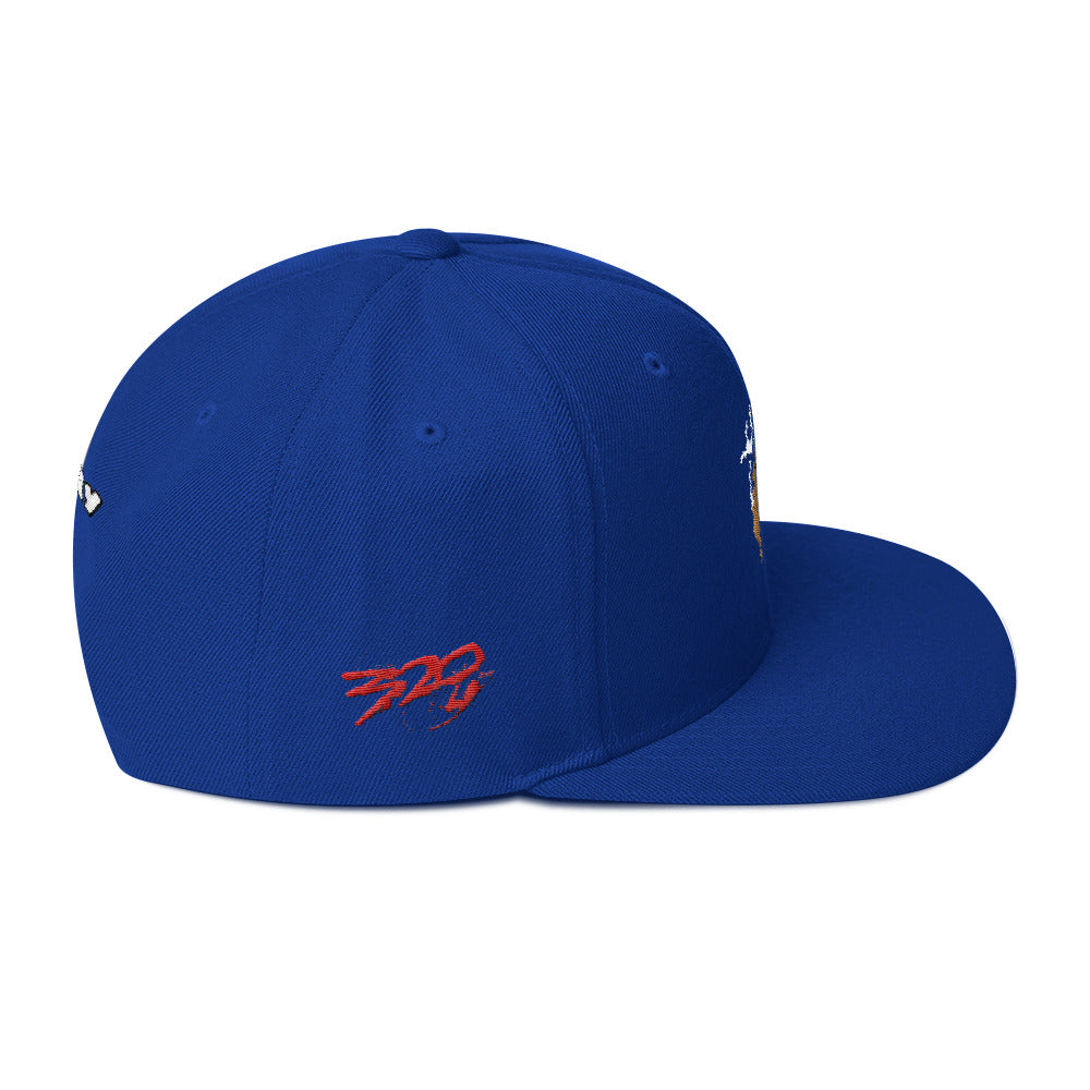BIG RAY 320 Snapback