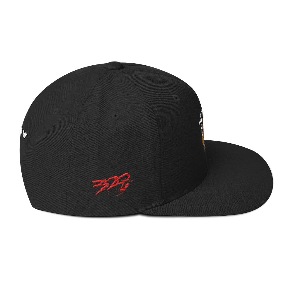 BIG RAY 320 Snapback