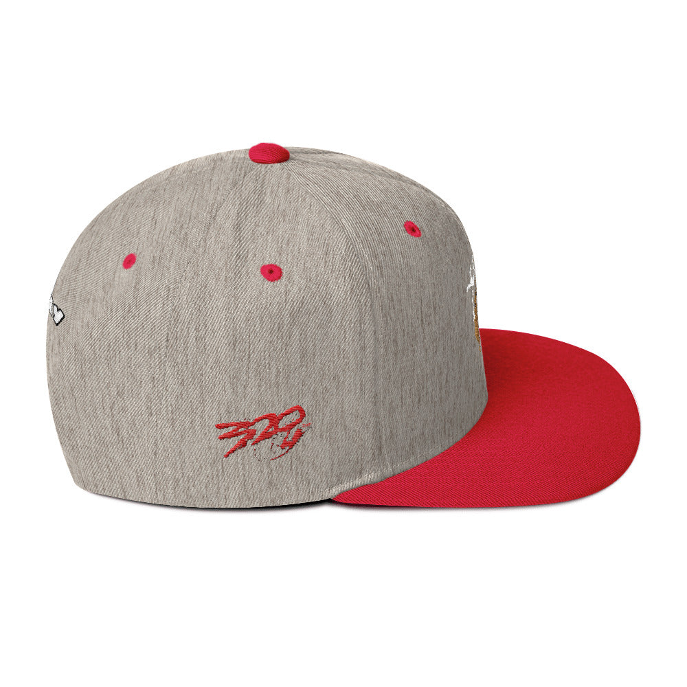 BIG RAY 320 Snapback