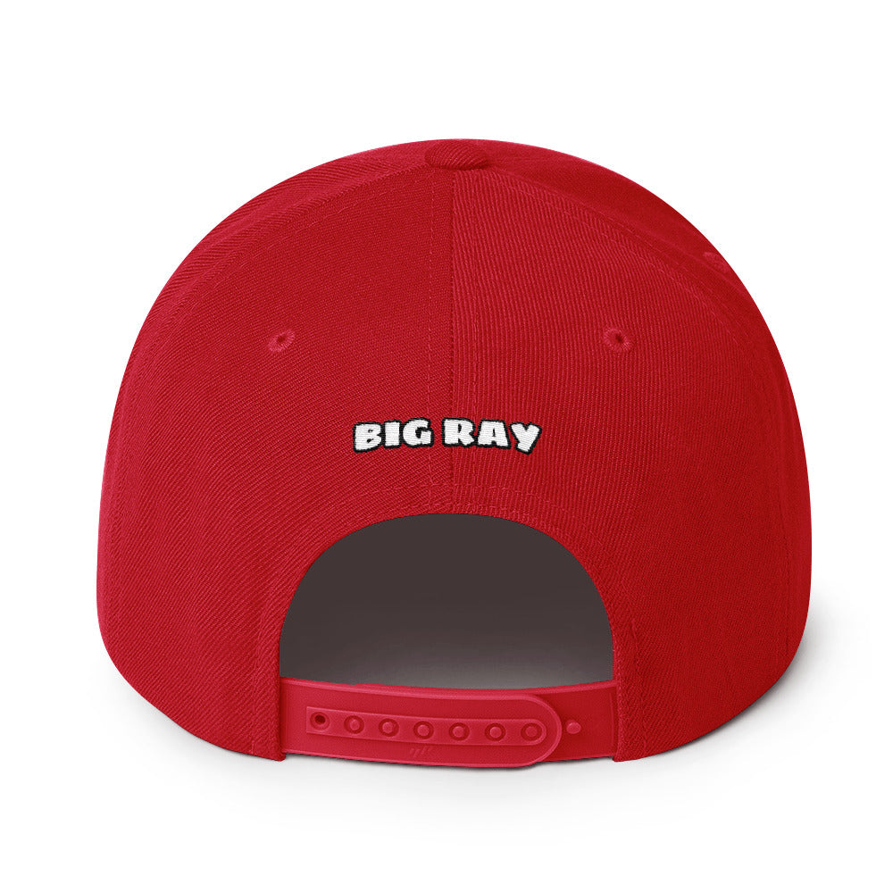 BIG RAY 320 Snapback
