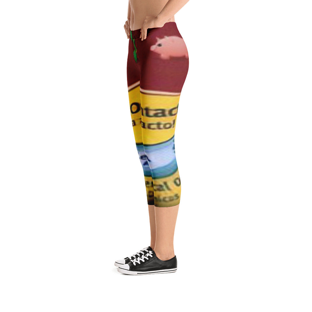 HATER RAID CAPRI LEGGINGS