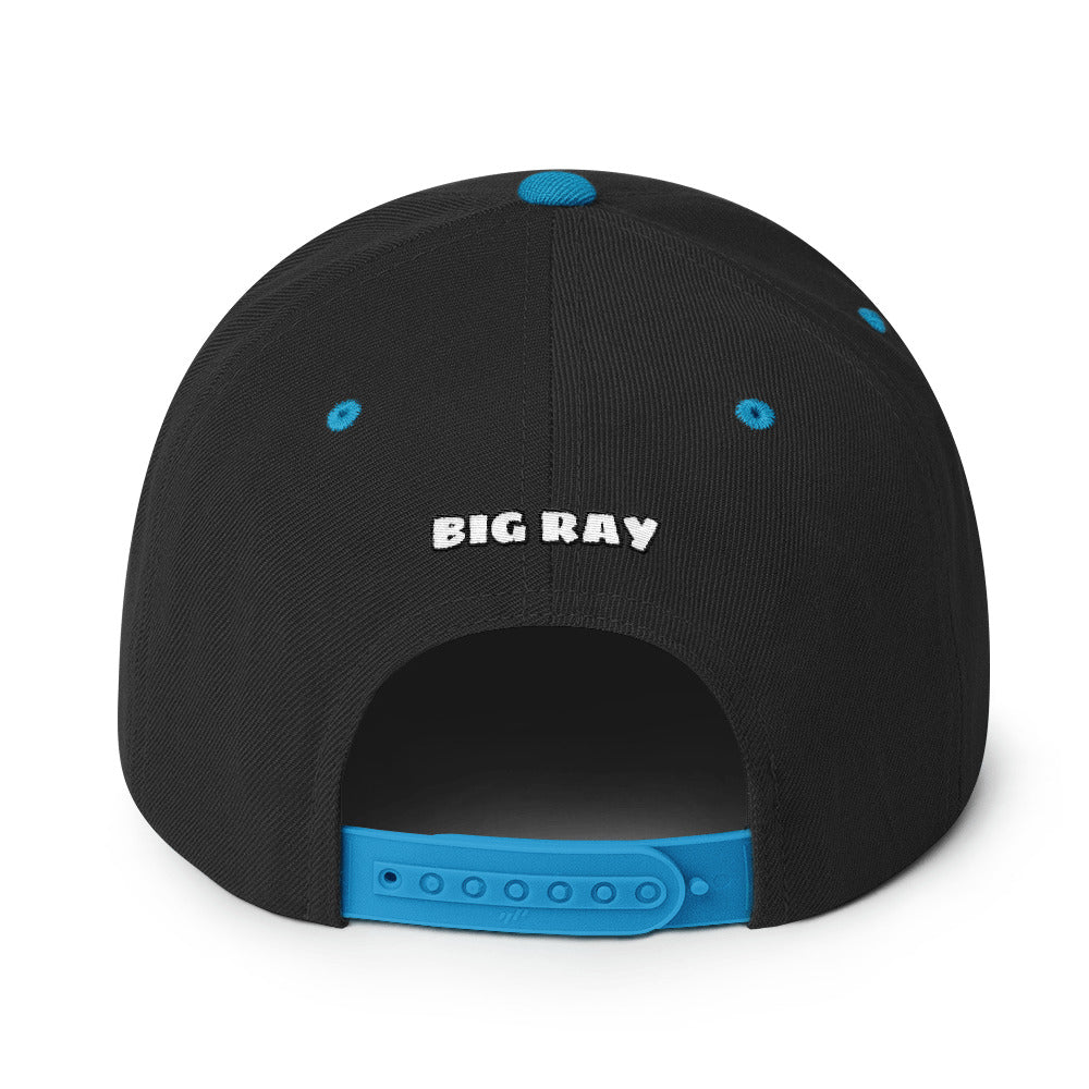 BIG RAY 320 Snapback