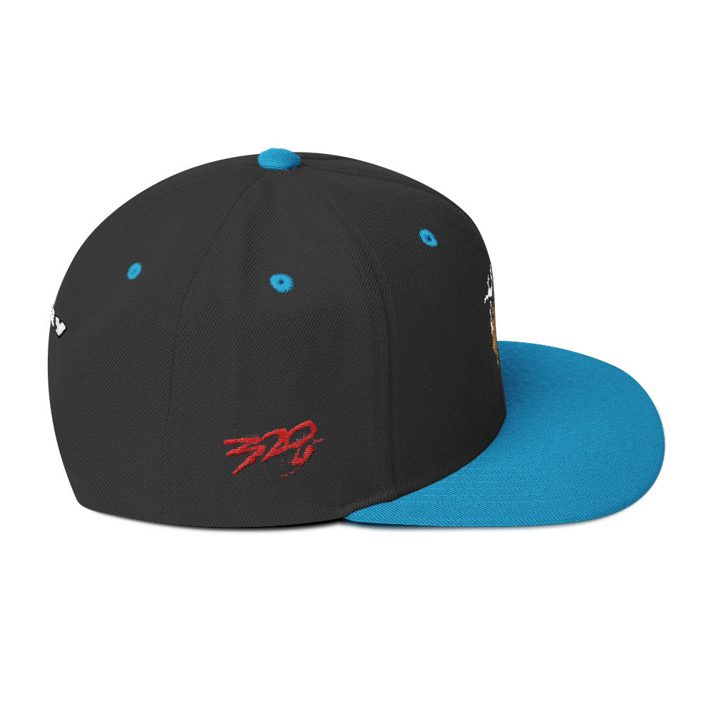 BIG RAY 320 Snapback