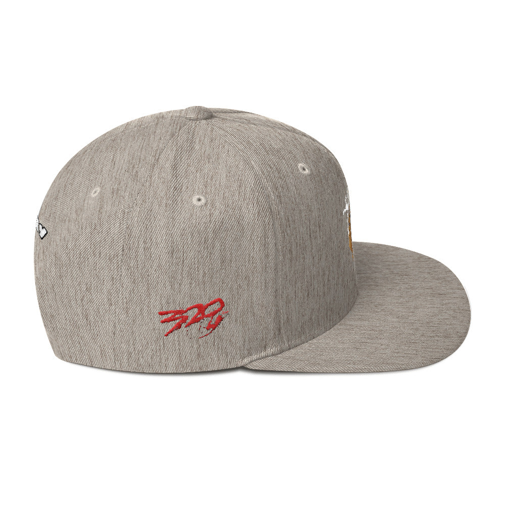 BIG RAY 320 Snapback