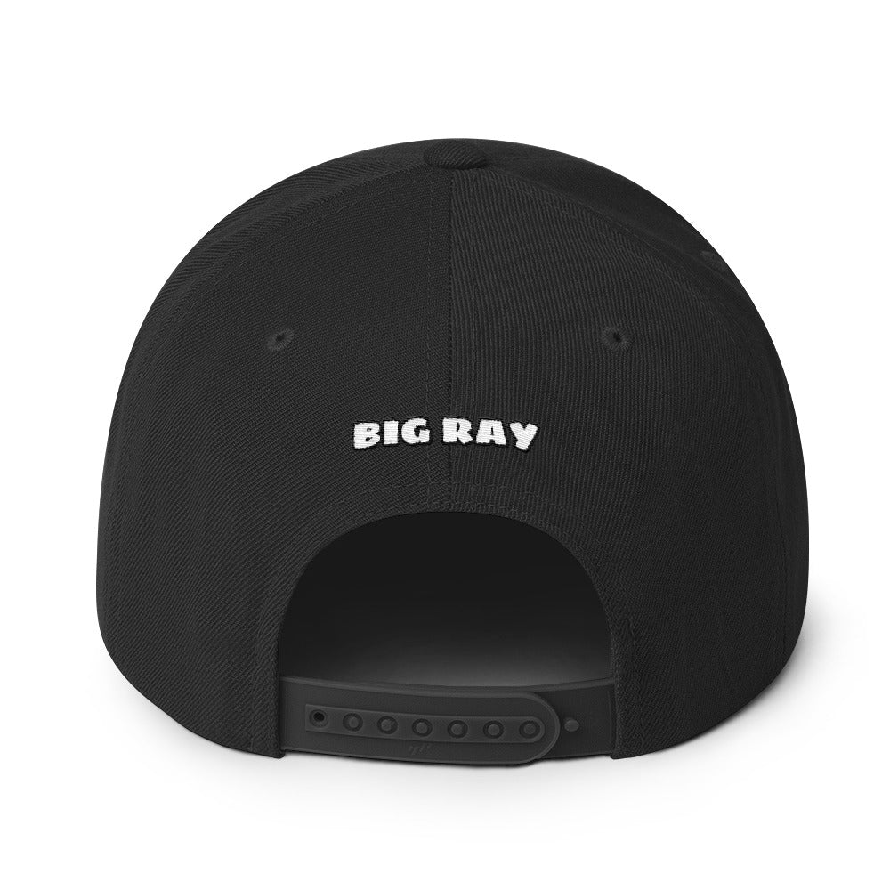 BIG RAY 320 Snapback