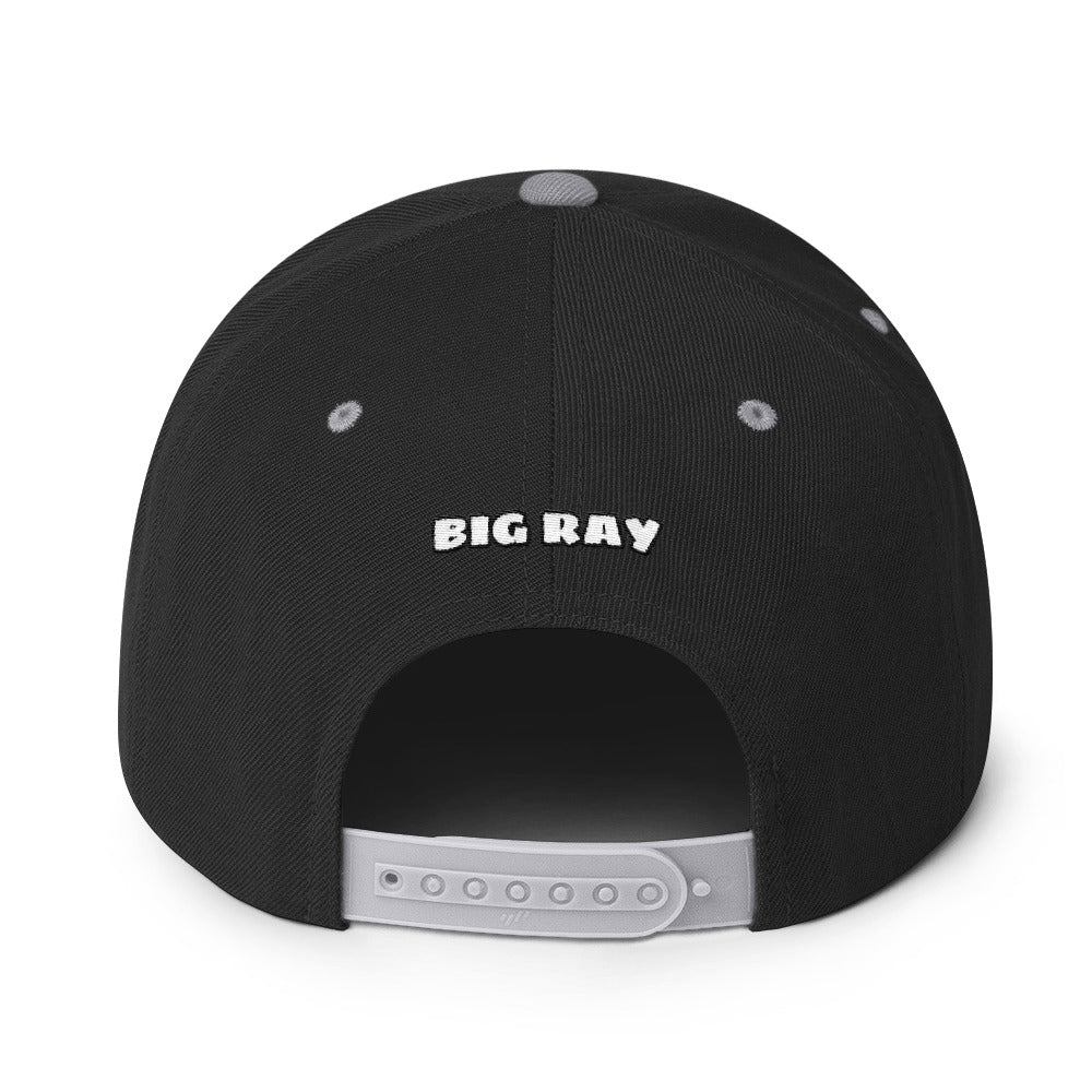 BIG RAY 320 Snapback