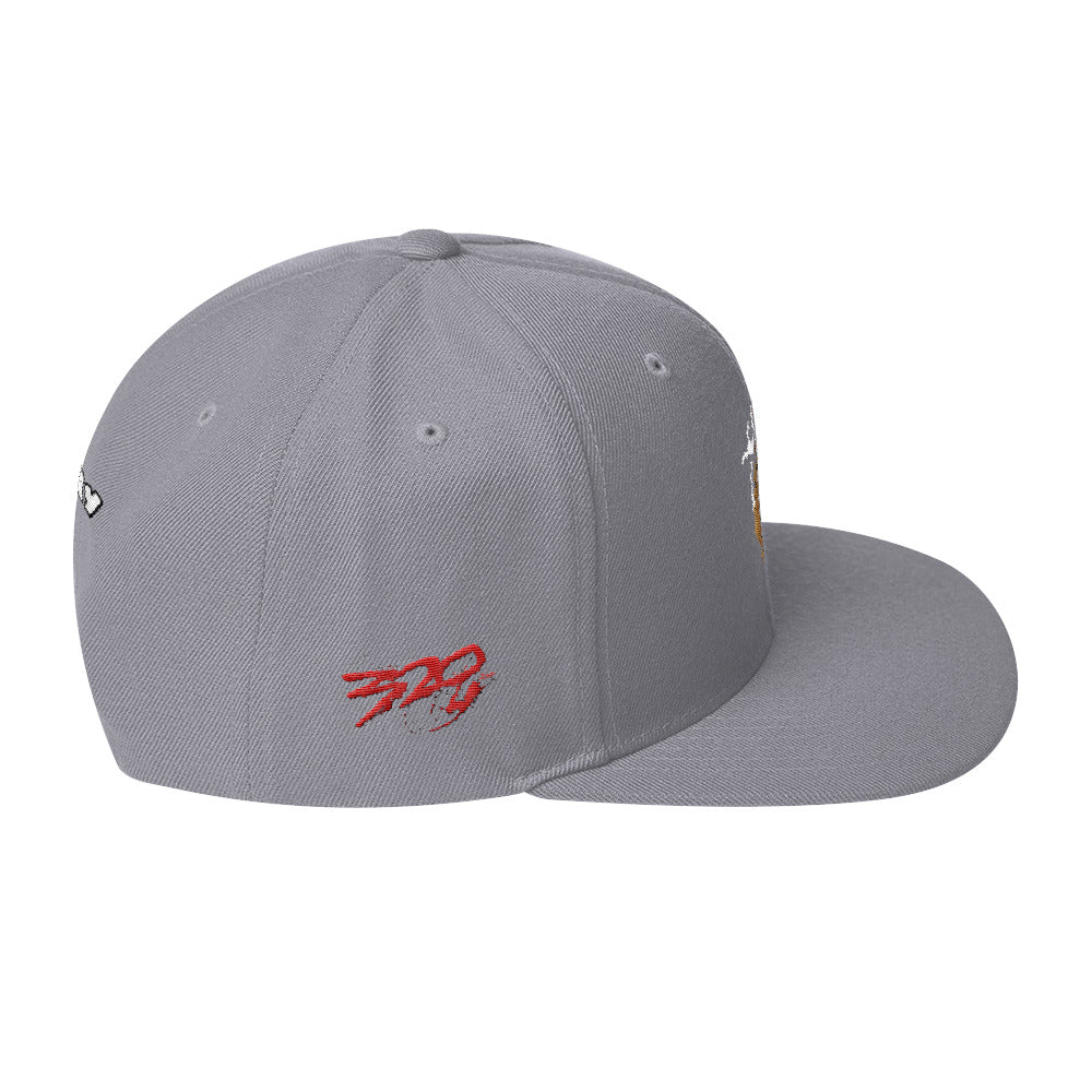BIG RAY 320 Snapback