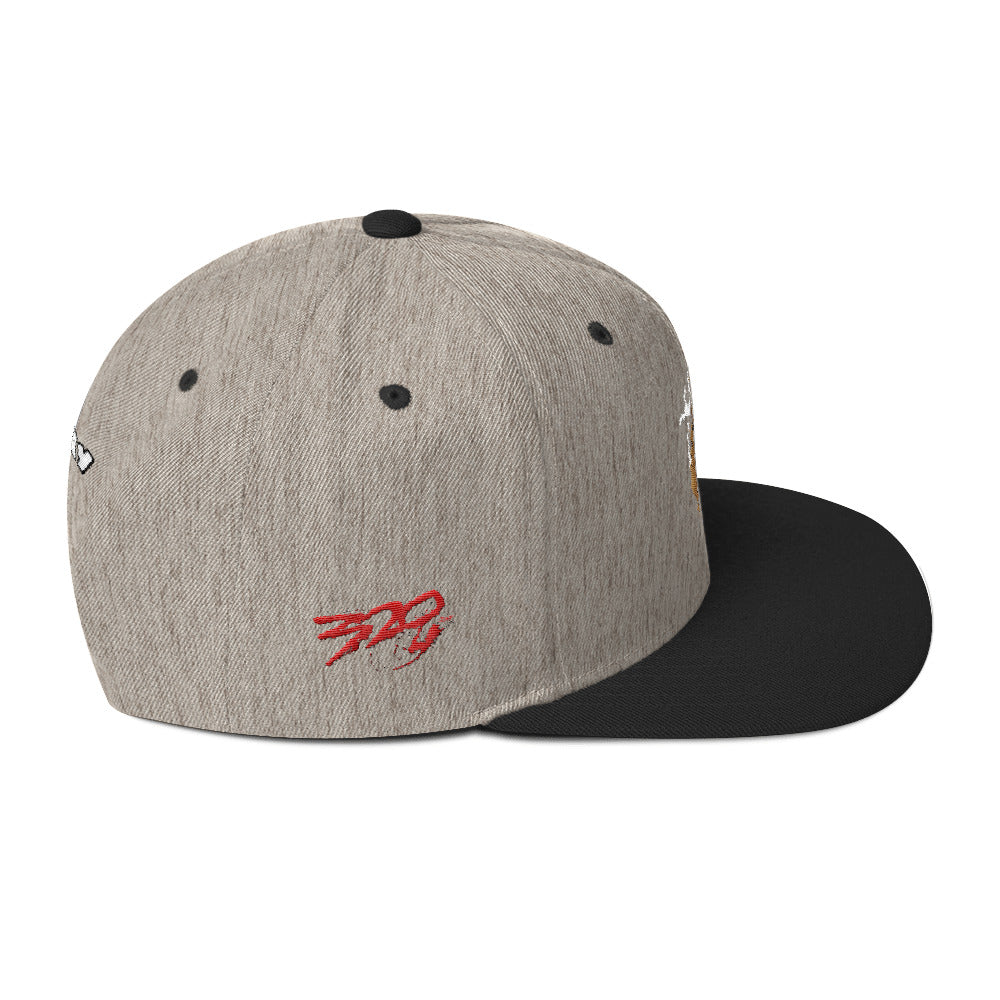 BIG RAY 320 Snapback